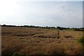 SE4062 : Fields off Braimber Lane by DS Pugh