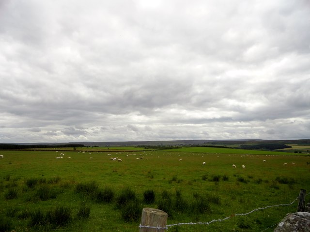 Grazing pastures beside the road up to Barleyhill