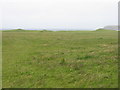 Pasture on and behind dunes at South Allasdale