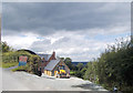 Hollybush from the lane