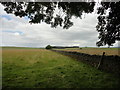 View east from the road up to Barleyhill