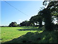 Field near Gawsworth