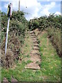 SK0346 : Footpath steps by Ian Calderwood