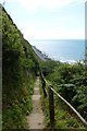 Down the Cliff Path