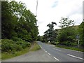 A542 near Dalle Crucis Abbey