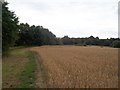 SK4879 : Crop Field near Harthill Reservoir by Jonathan Clitheroe