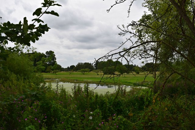 Marshy Pond