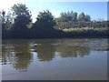 TQ6047 : Canoe view of the River Medway by Dave Thompson