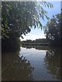 TQ6447 : Canoe view of the River Medway by Dave Thompson