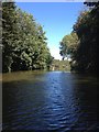 Canoe view of the River Medway