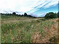 Water Meadow near Blairnadergid