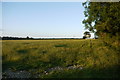 Field next to Devonshire Inn Farm