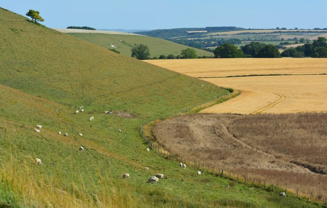 Base of downland hills at Aldbourne, Wiltshire