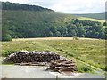 View across Eskdale