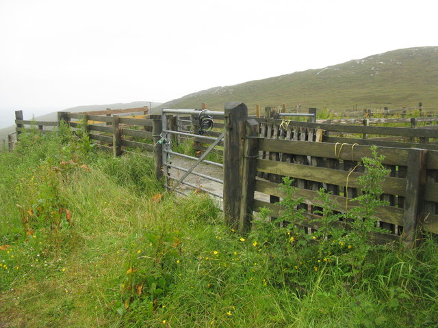Sheep pens by the A888