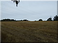 NY9268 : Stubble field beside the footpath to Fallowfield by JThomas