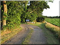 Track and footpath near Boxted Chapel Lane