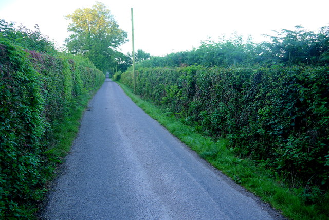 Old Chard Road