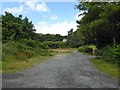 Track off minor road near Llechan Isaf