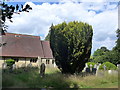 St Luke, Matfield: churchyard (ii)