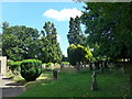 St Luke, Matfield: churchyard (v)