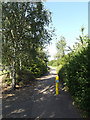 Path into Mowsbury Park