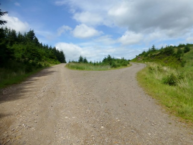 Junction On Forestry Track