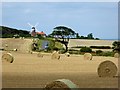 TG1242 : View from The Poppy Line East of Weybourne by David Dixon