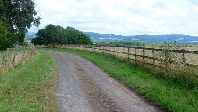 Track on Frome's Hill.
