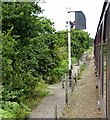TG0940 : North Norfolk Railway, Stone Pit Plantation by David Dixon