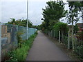 Cycle path beside allotments