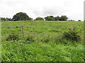 Shanmullagh Townland