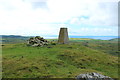 NX2555 : Trig Point on Knock Fell by Billy McCrorie