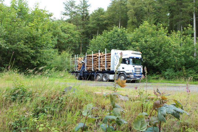 Timber Lorry at Whitefield Loch