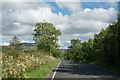 A591 passing Lowmoor