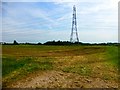 Pylon In Field