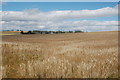 View over the fields towards Scoutbog Steading