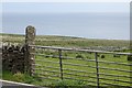 ND1527 : Coastal pasture, Dunbeath Mains by Richard Webb