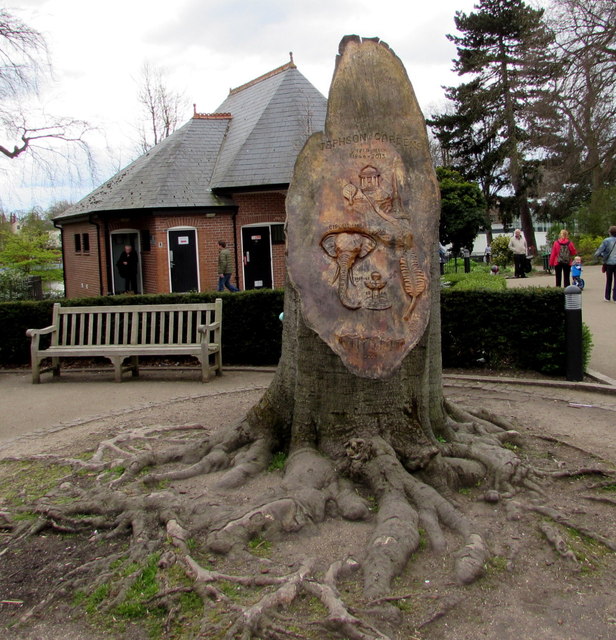 Copper Beech Tree Carving in Jephson Gardens,  Royal Leamington Spa