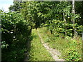 Lane off the Ellesmere Road, St Martin