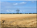 TL9019 : Unusual pylon near Messing by Robin Webster