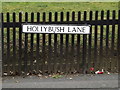 Hollybush Lane sign