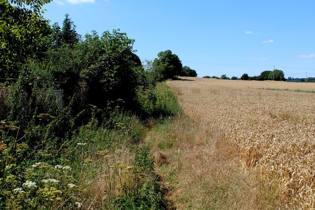 Stour Valley Walk at Shalmsford Street © Chris Heaton cc-by-sa/2.0 ...