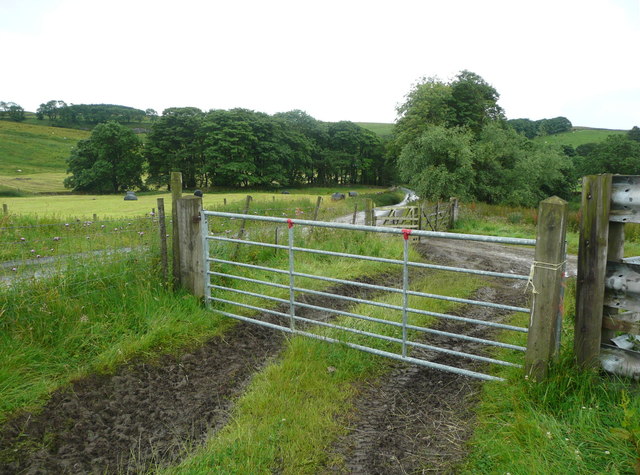 Field gates on a footpath at Cowside, Langcliffe