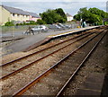 Platform 1 from platform 2 at Clunderwen railway station