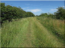 TL4970 : Footpath to Chittering by Hugh Venables