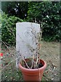 TL9125 : Unusual war grave, Aldham churchyard by Bikeboy