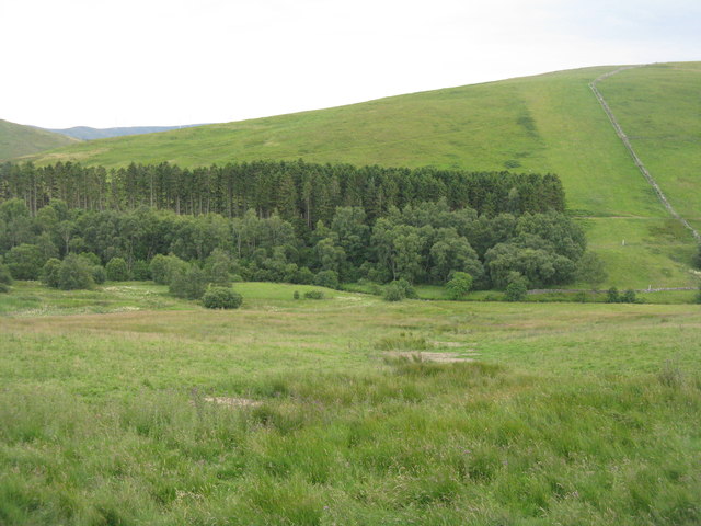 Glengonnar Wood