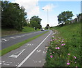 Colourful bank edge in Gowerton