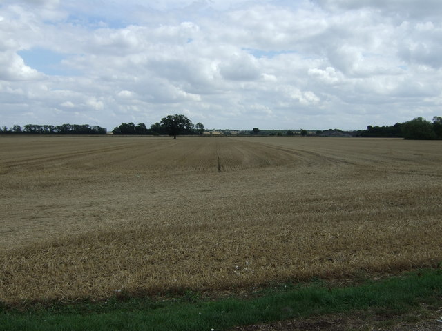 Crop field near Oldfield Farm